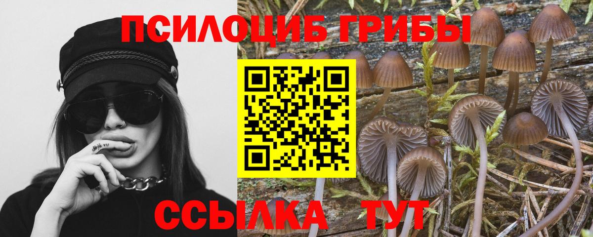 Новодвинск  Галлюциногенные грибы MAGIC MUSHROOMS  Галлюциногенные грибы ЛСД  Вход с VPN 